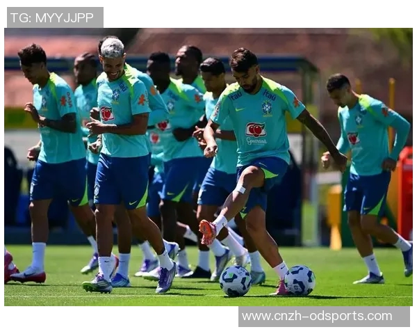 巴西世界杯预选赛赛程详解及各队备战情况分析